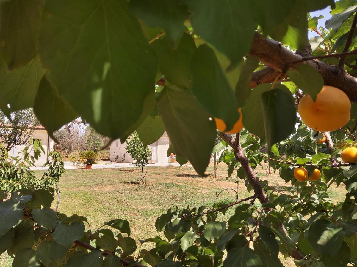 Casetta Vacanza In Campagna Aradeo Luaran gambar