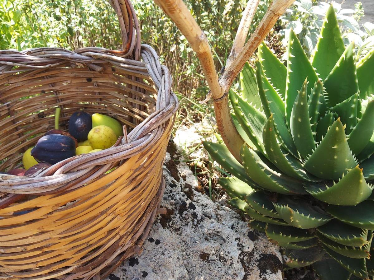 Casetta Vacanza In Campagna Aradeo Luaran gambar
