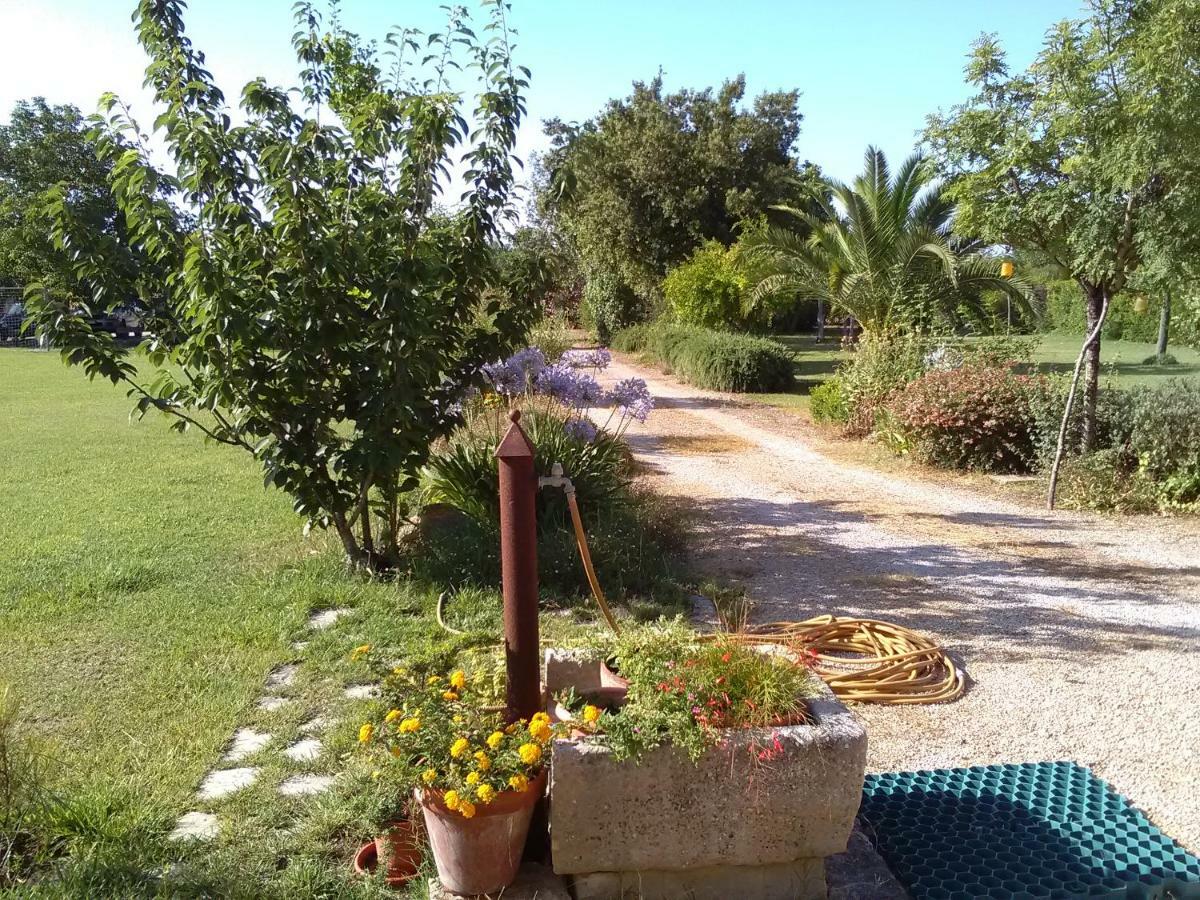 Casetta Vacanza In Campagna Aradeo Luaran gambar