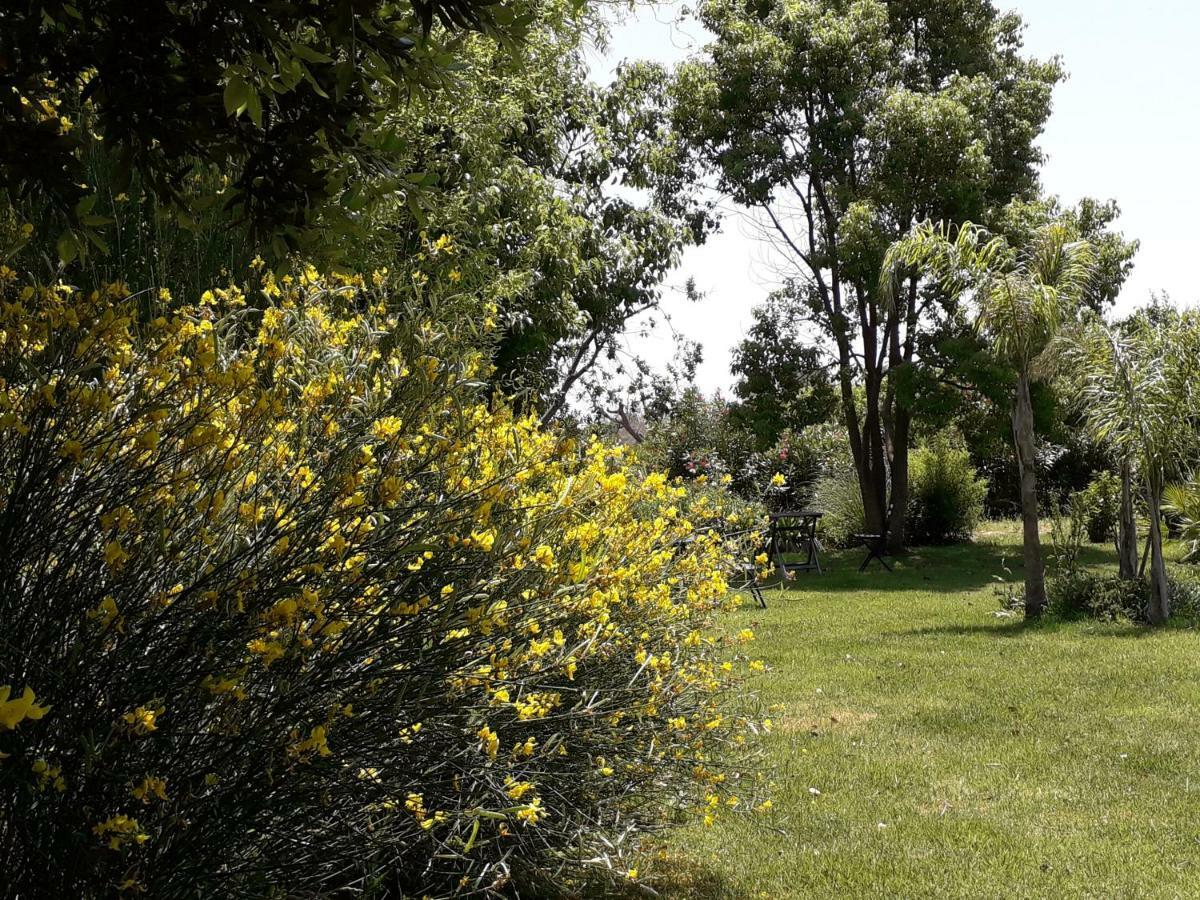 Casetta Vacanza In Campagna Aradeo Luaran gambar